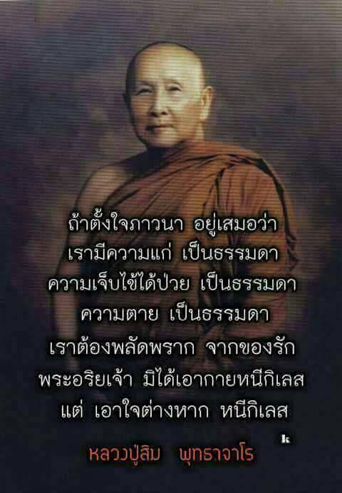 ถ้าตั้งใจภาวนา.jpg