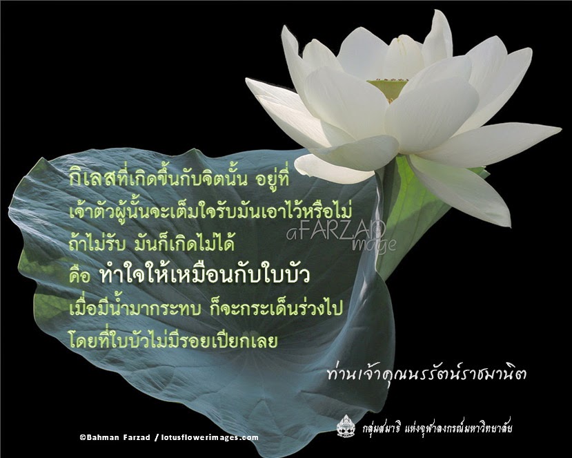 ท่านเจ้าคุณนรรัตน์ฯ13.jpg