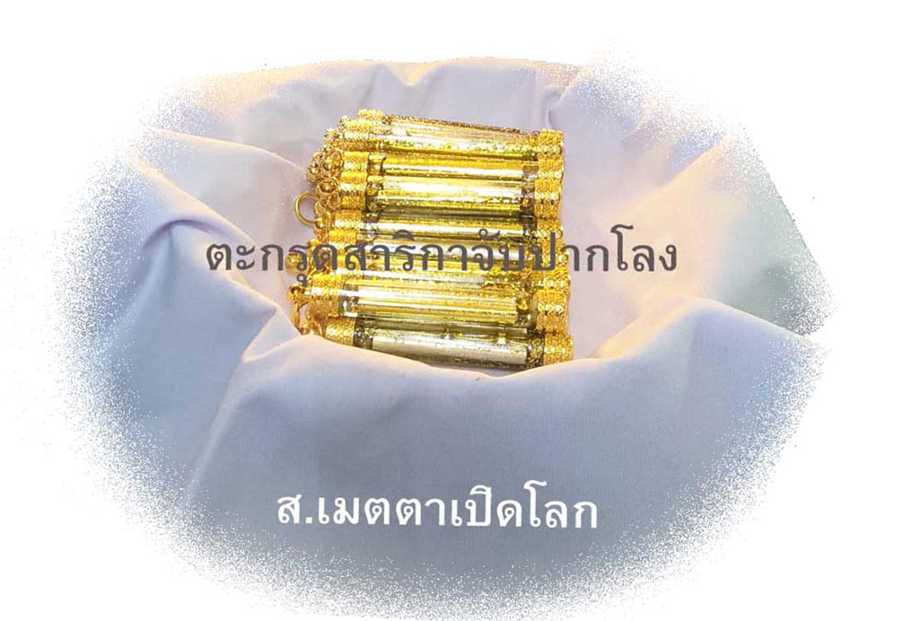 สาริกาจับปากโลง1.jpg