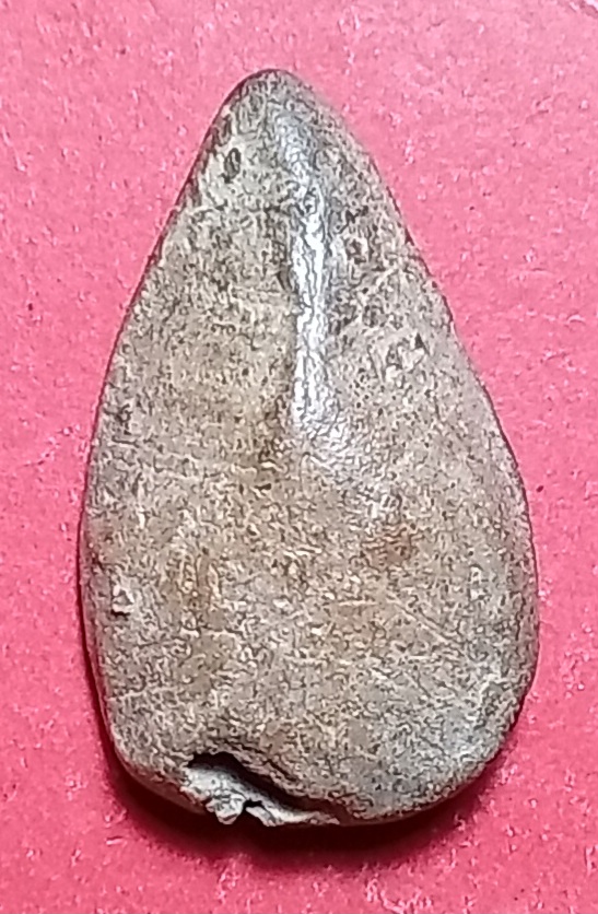 20250408_125553.jpg