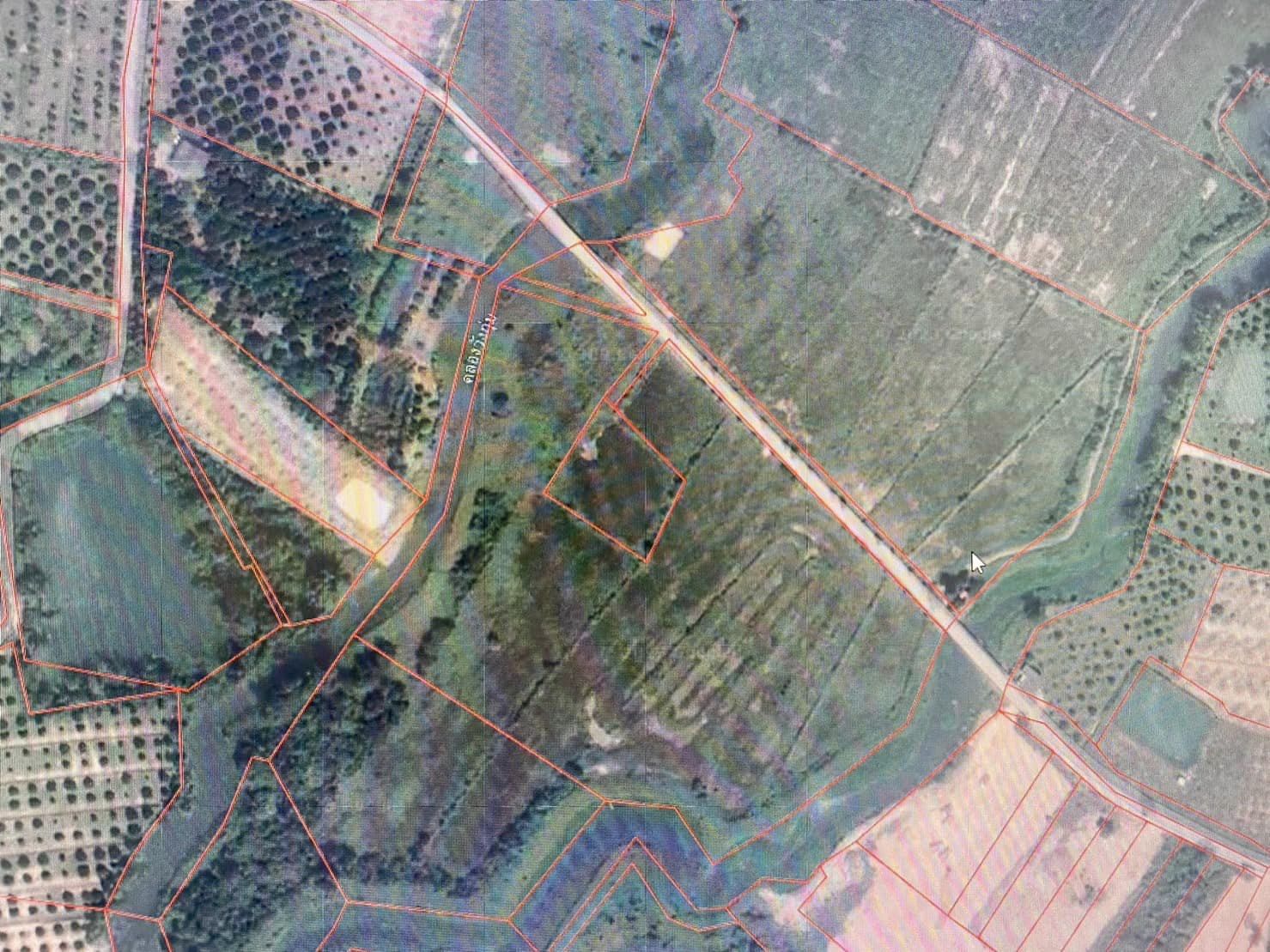 410776289_1034753084263637_612206074004929657_n.jpg