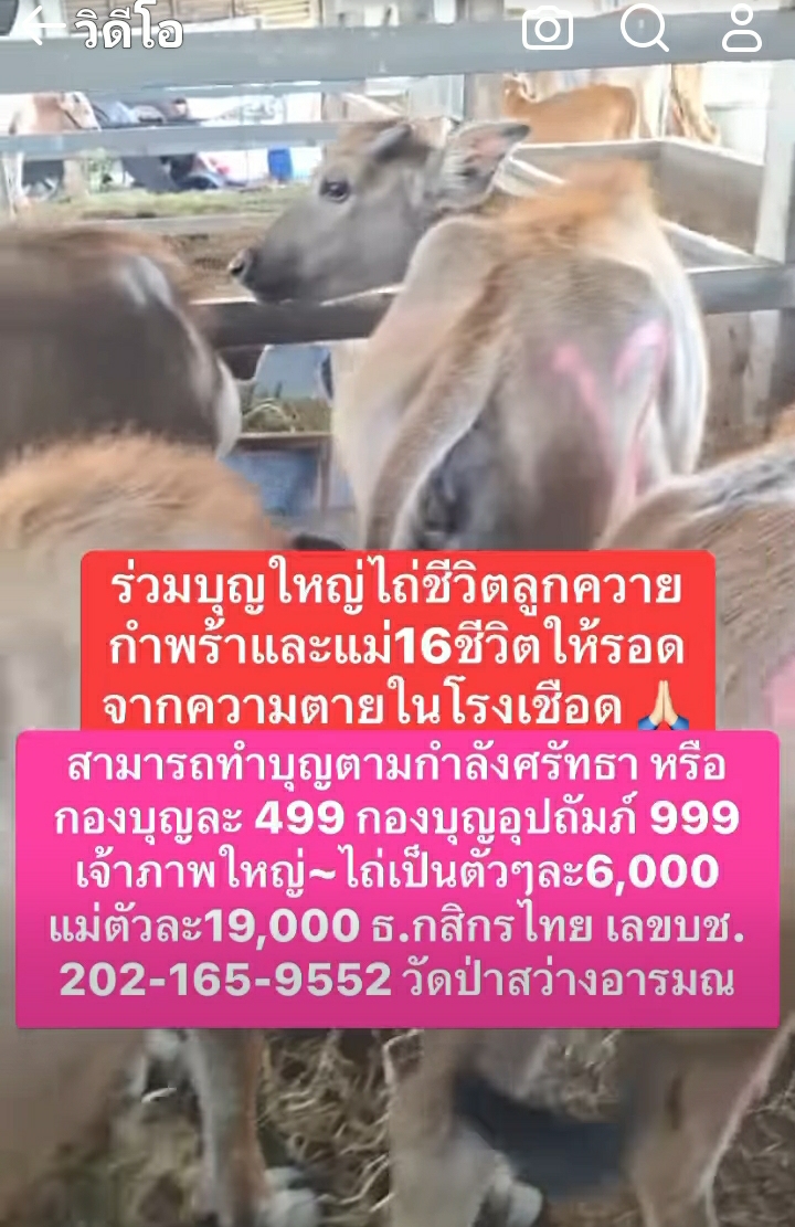 Screenshot_20250510-184300_Facebook.jpg